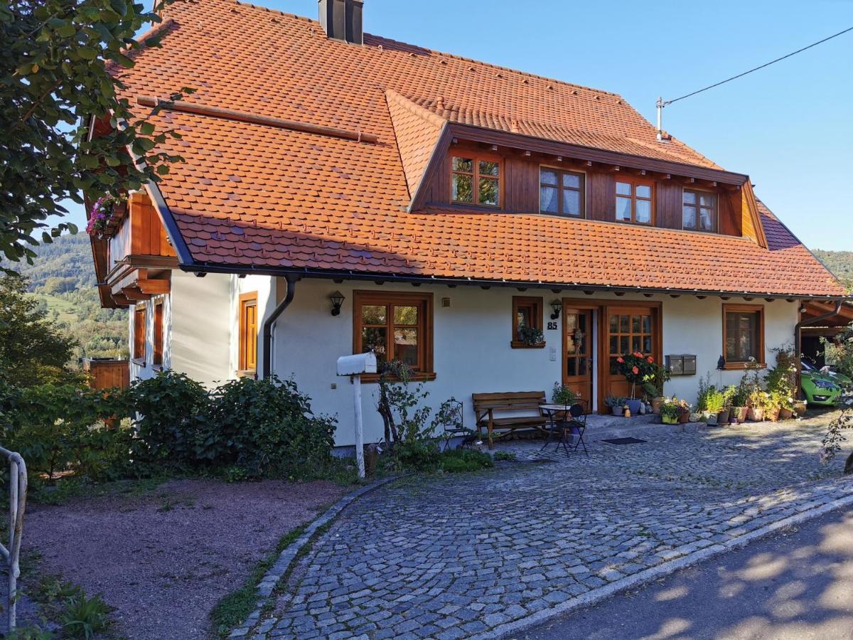 Ferienwohnung Am Fuchsbuehl Schopfheim Luaran gambar